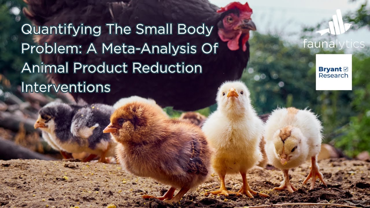 Quantifying The Small Body Problem Webinar