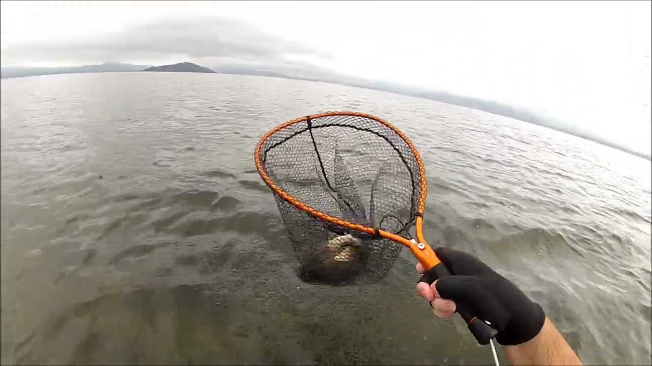 NEW ZEALAND TROUT FISHING THE SAME FISH AS THE LAST ONE