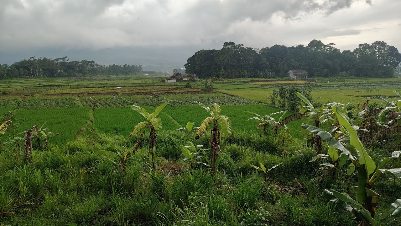 Kuningan Jawabarat