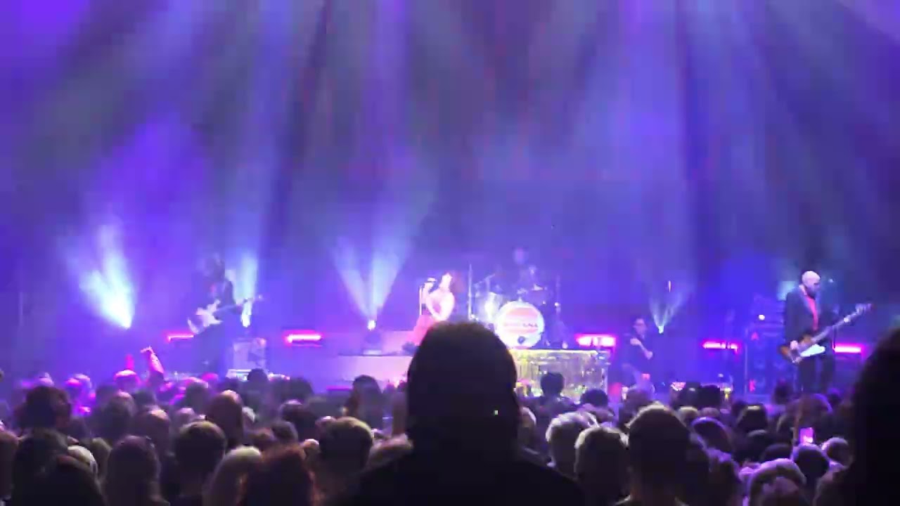 Elvana Elvis Fronted Nirvana