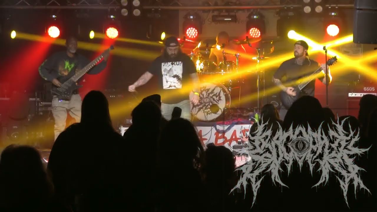 Annual Childrens Hospital Benefit Show - Krocophile (Full Set)
