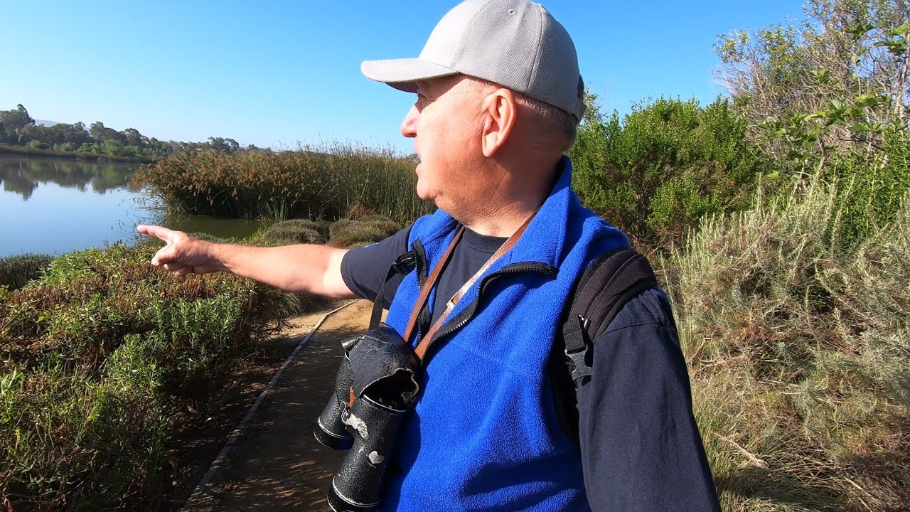 Birding at San Joaquin Wildlife Sanctuary, California