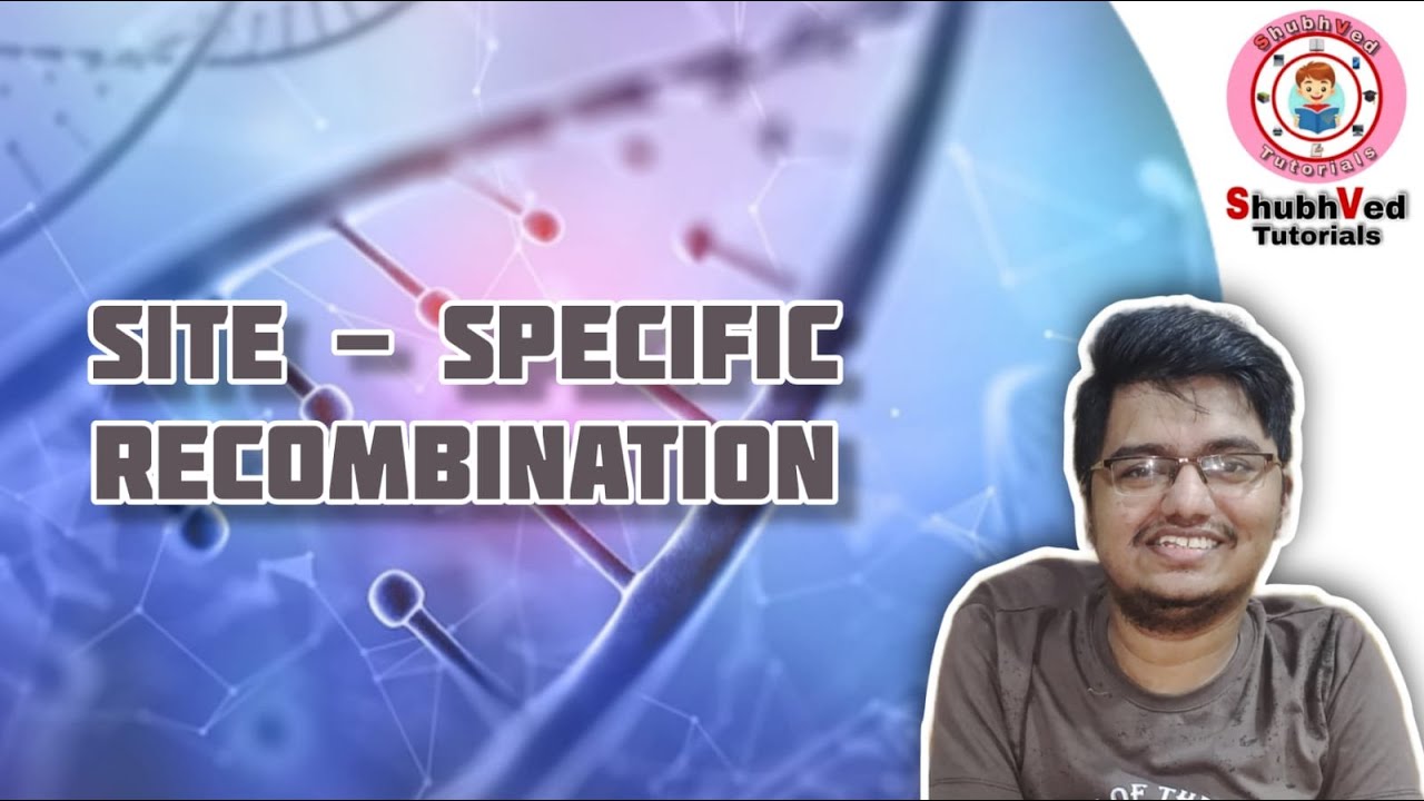 Site - Specific Recombination