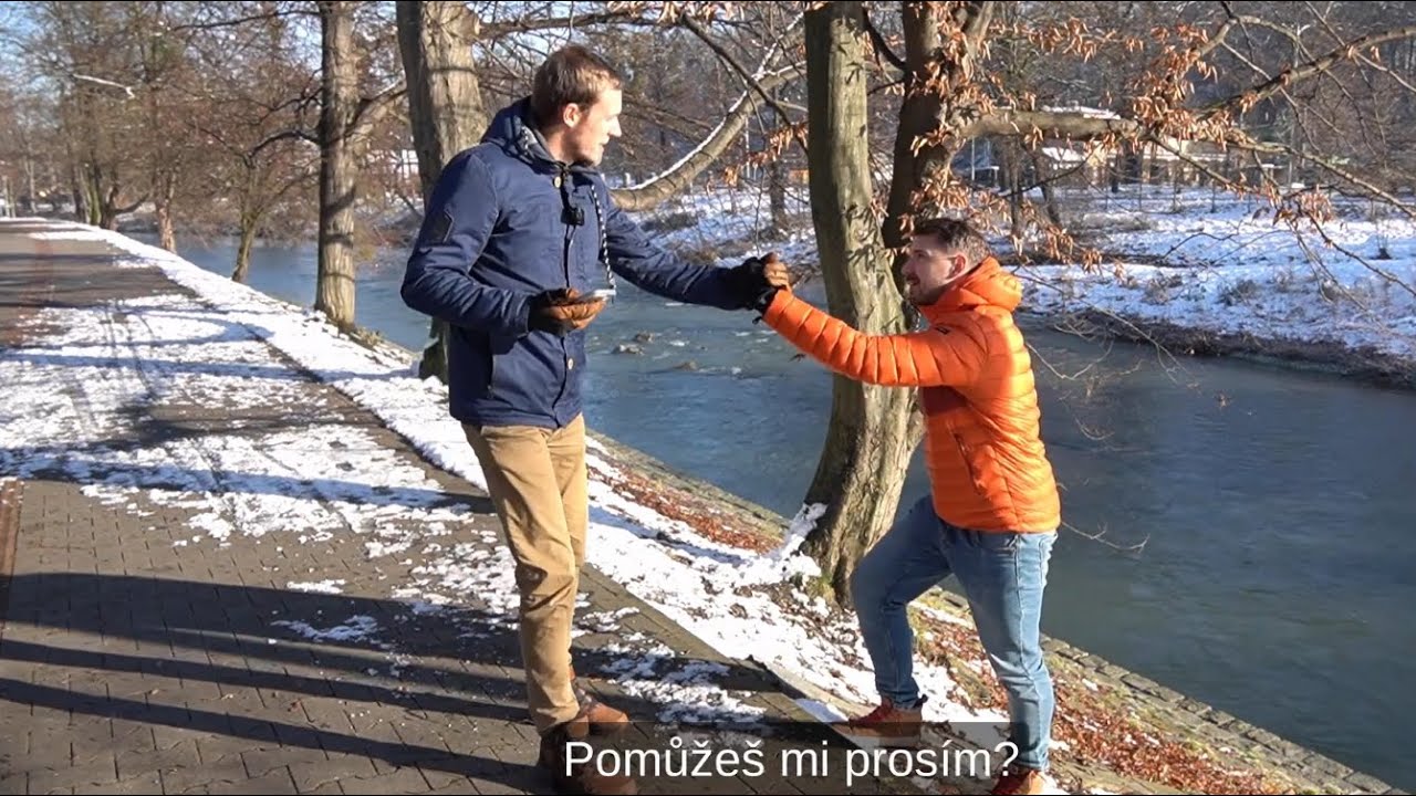 MOZAIKA 36 - Sociální rehabilitace