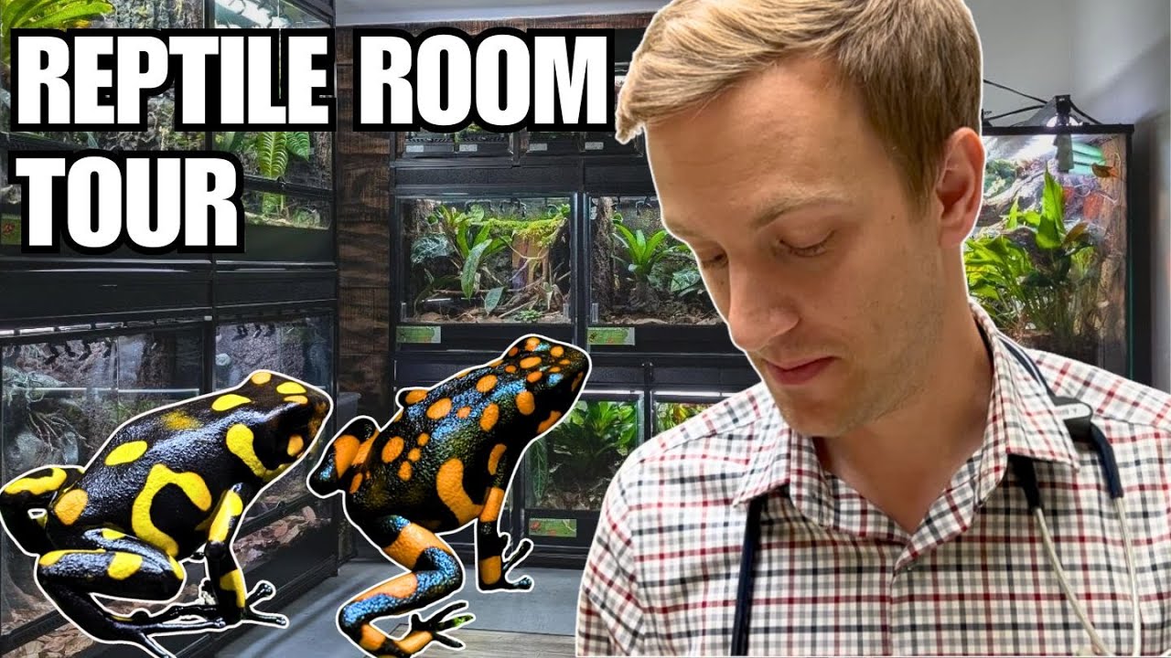 Rare Reptile Room Tour | Dr. Alec's Sad News