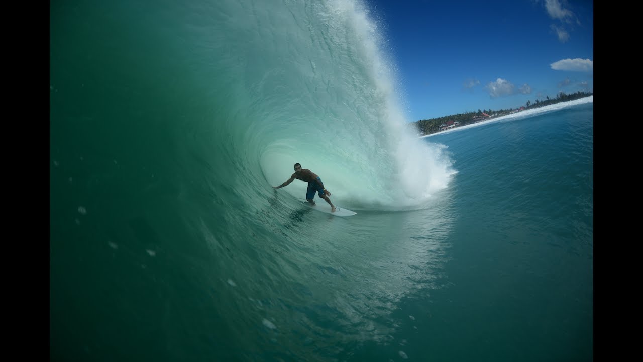 BLUE DREAMS   NIAS