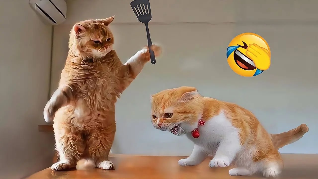 Старайтесь не смеяться 😂 Самые смешные моменты с животными 2025 😅