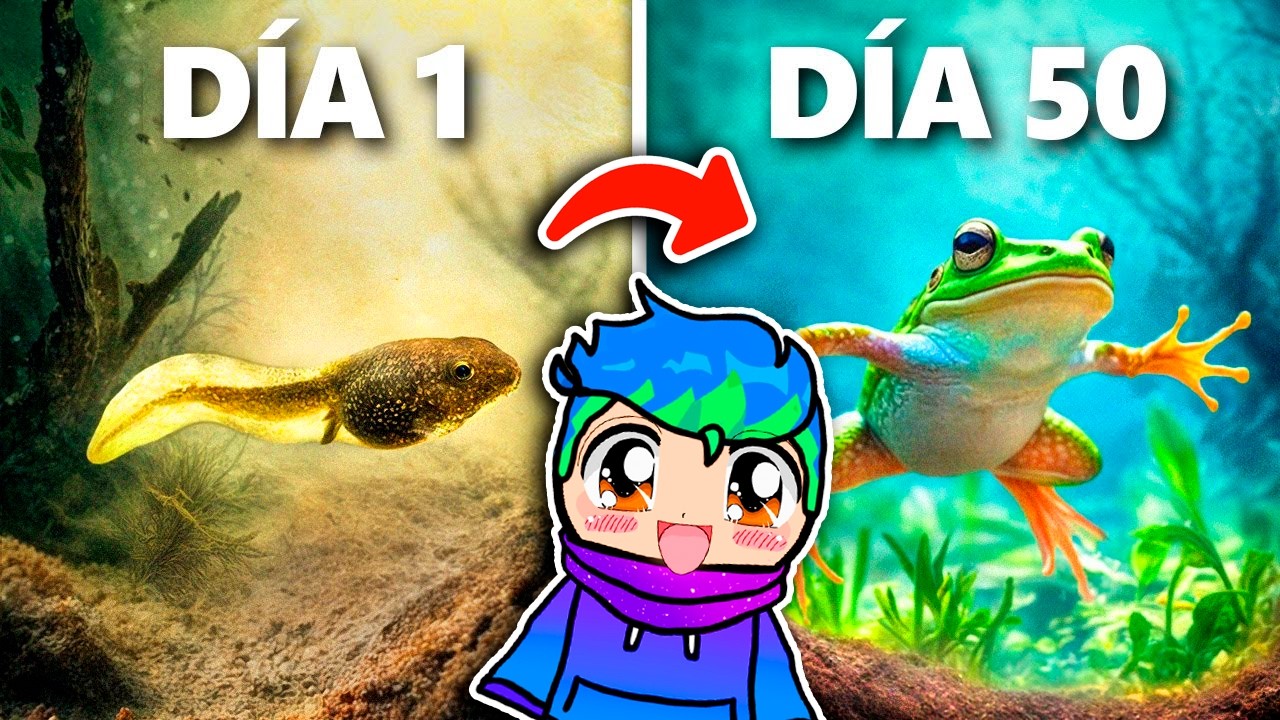Criando Renacuajos a Ranas (Evolución de 50 Días)🐸🌺🤩 / Carlos Infinito REACCIONA TerraVerde Español