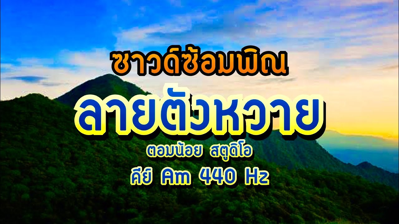 ซาวด์ซ้อมพิณลายตังหวาย Am 440 Hz - [ตอมน้อย สตูดิโอ]
