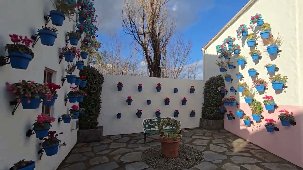 Japan Daily Vlog | Shima Spain Village