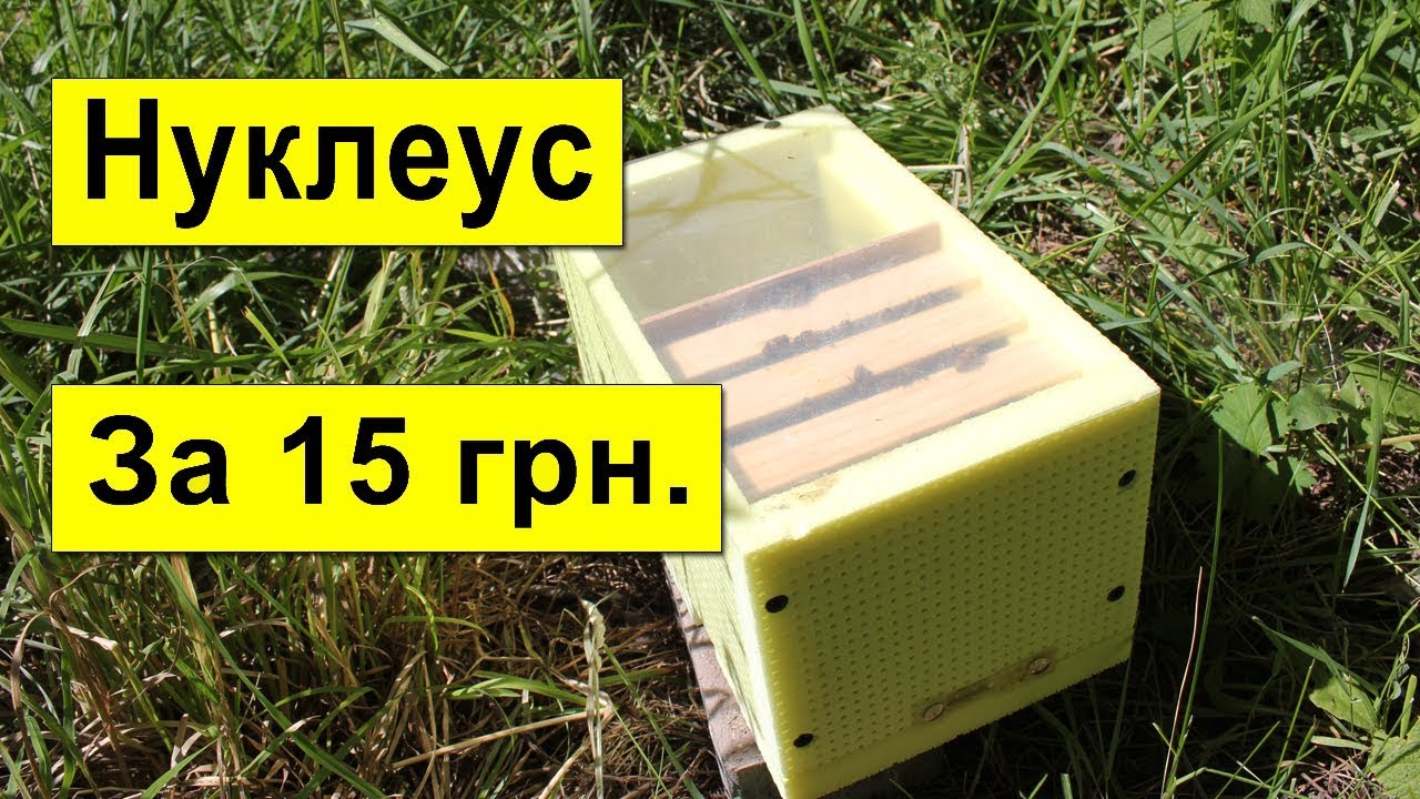 Как Сделать Нуклеус за 15 грн? Размеры микронуклеуса, Нуклеус для облёта маток работает отлично