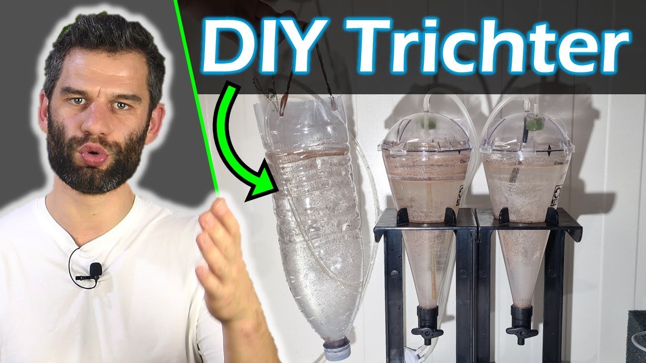 Artemia Aufzuchtset selber bauen – Einfache Technik für unter 5 €