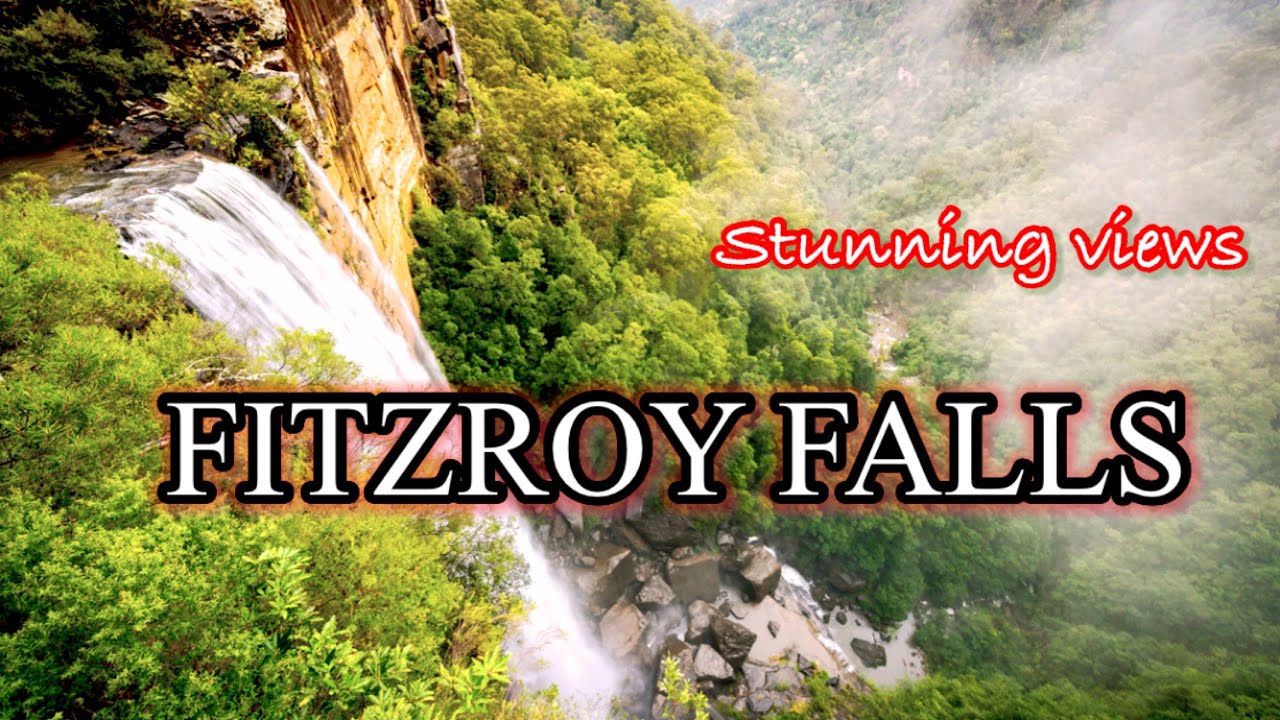FITZROY FALLS | Visited one of Australia's spectacular waterfalls