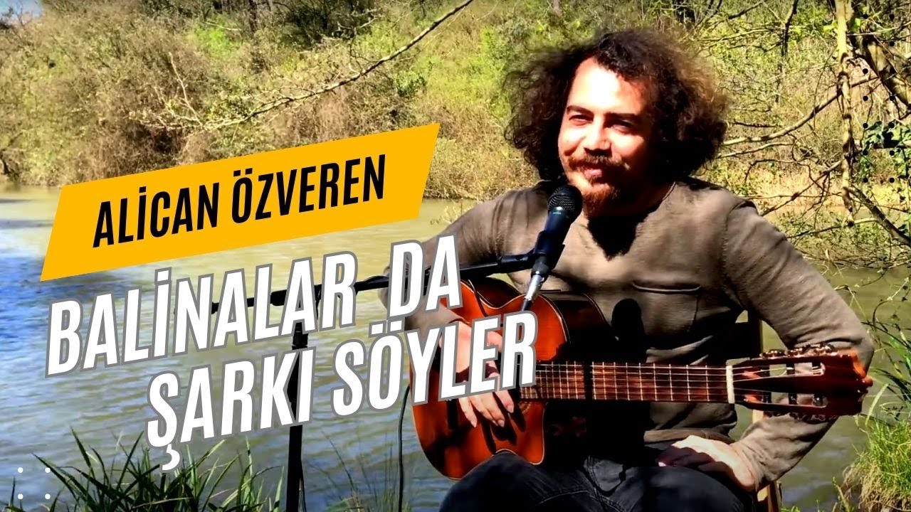 Alican Özveren ~ Balinalar da Şarkı Söyler ( Akustik )