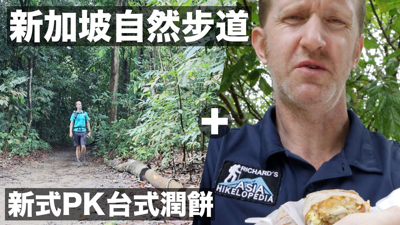 Mandai to Chestnut walk: giant scorpion + Taiwan vs Singapore popiah battle! 新加坡自然步道:亞洲雨林黑蠍+新式PK台式潤餅