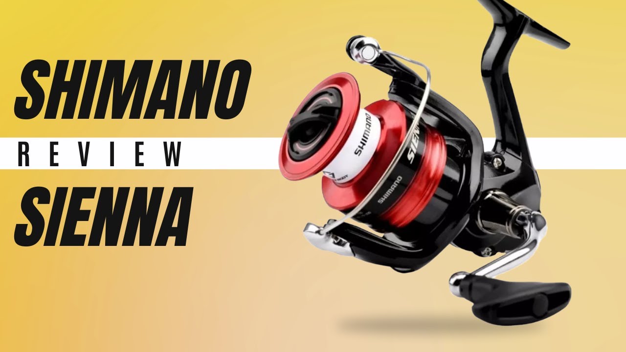 MOLINETE SHIMANO SIENNA 3000 REVIEW