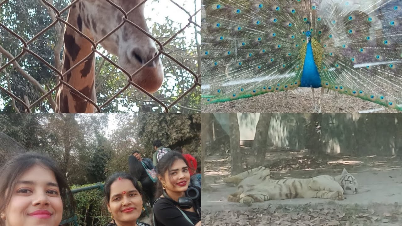 মা দিদির সাথে চিড়িয়াখানায় ঘুরতে গেলাম 🥰 | Zoological Garden Alipore 🐅🐘🦓🦊 | Kolkata | Family 👪 |