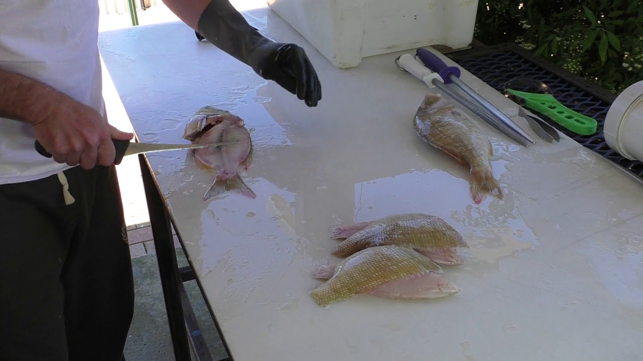 Filleting a Bluespotted Emperor Kiwi Style