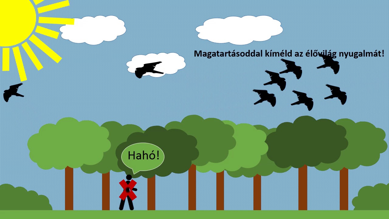 Erdei viselkedés szabályai