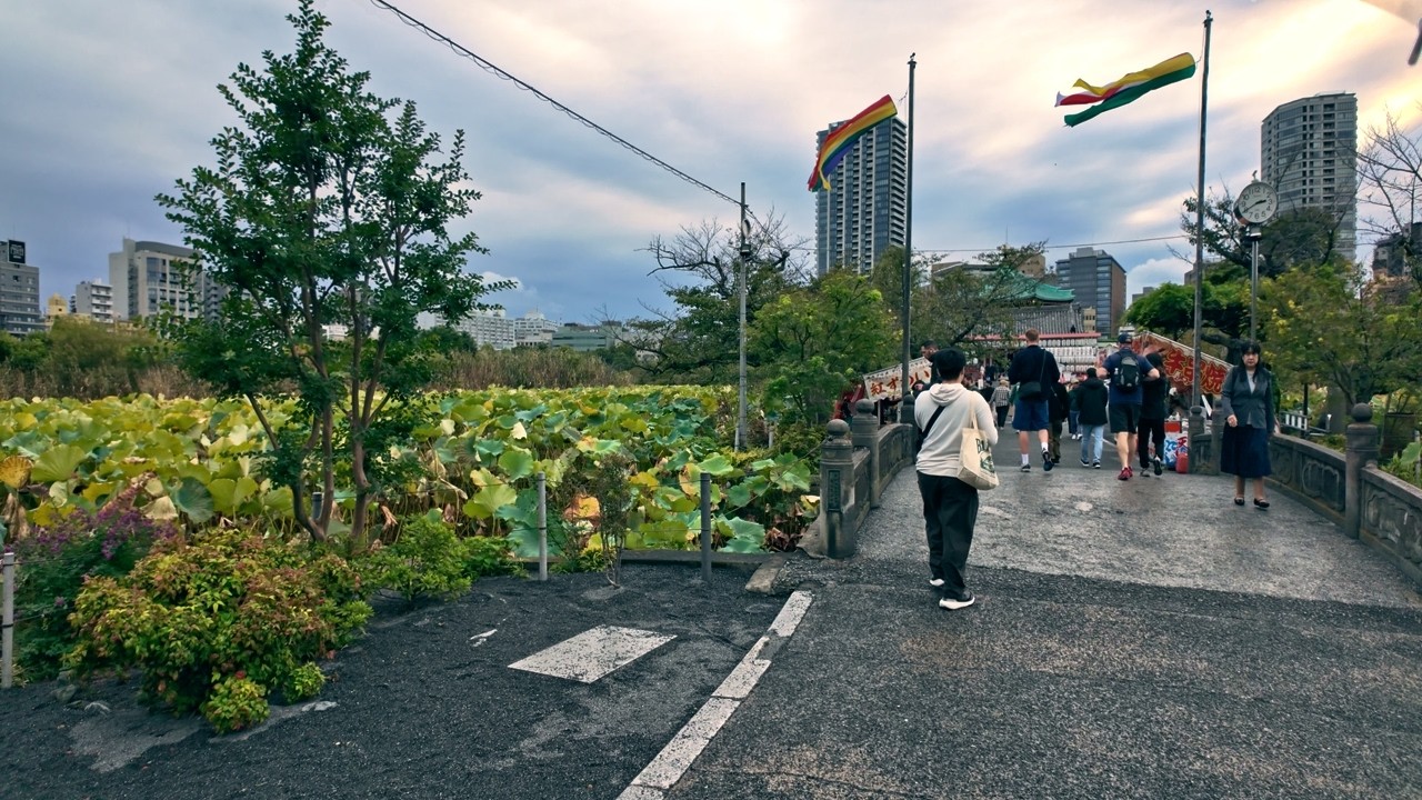 Tokyo Afternoon Walk [4K] Ueno Park & Ameyoko Shopping District