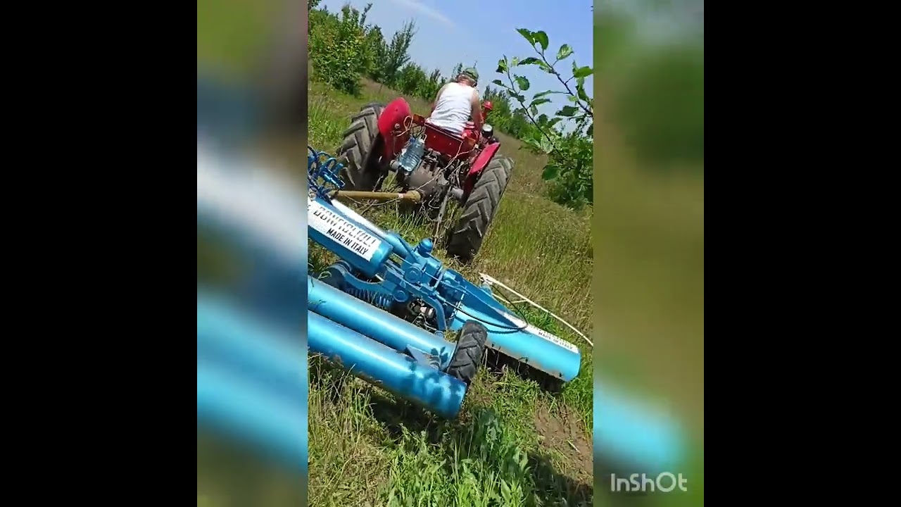 IMT 533(539) i Bonfiglioli freza pipalica u zasadu sljive