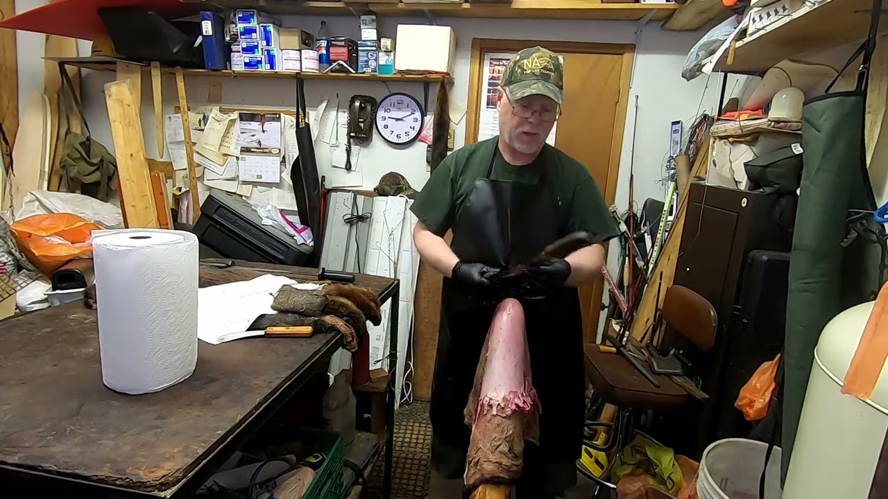 How to: Fleshing Beaver Tips and Tricks