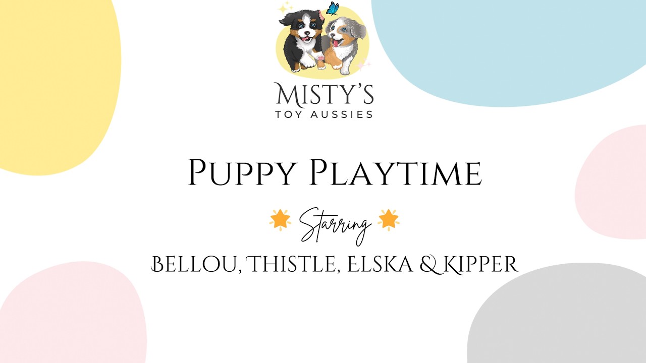Aussie Pups