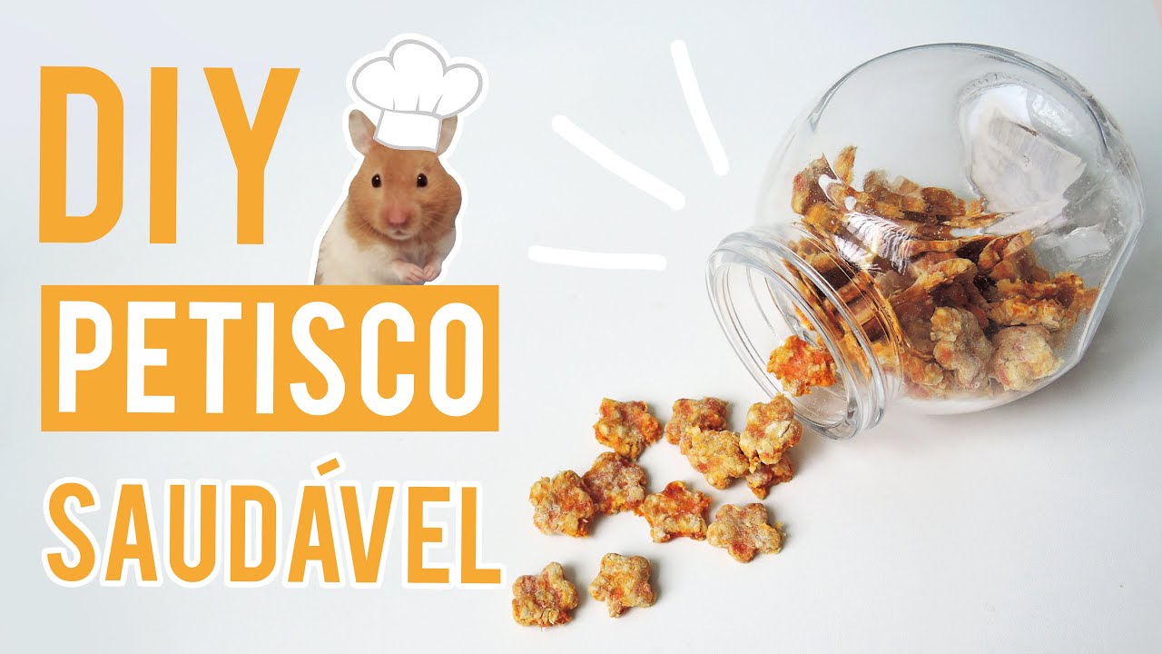 DIY 🐹🍪 Petisco saudável para hamsters