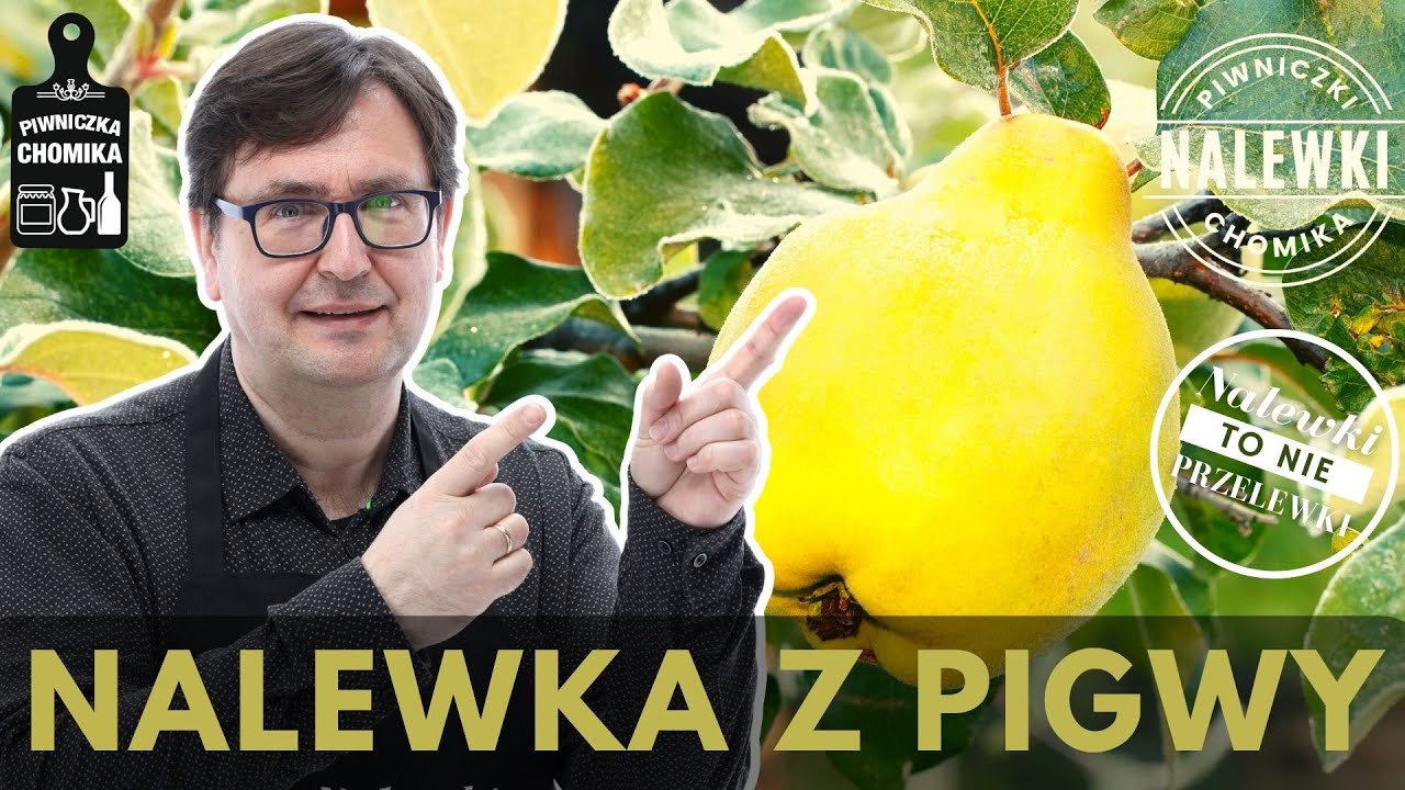 Nalewka z pigwy (pigw&oacute;wka). Kultowy trunek domowego wyrobu. Prosty przepis na doskonałą nalewkę