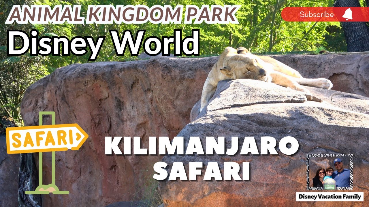 Kilimanjaro Safaris - Disney's Animal Kingdom Theme Park