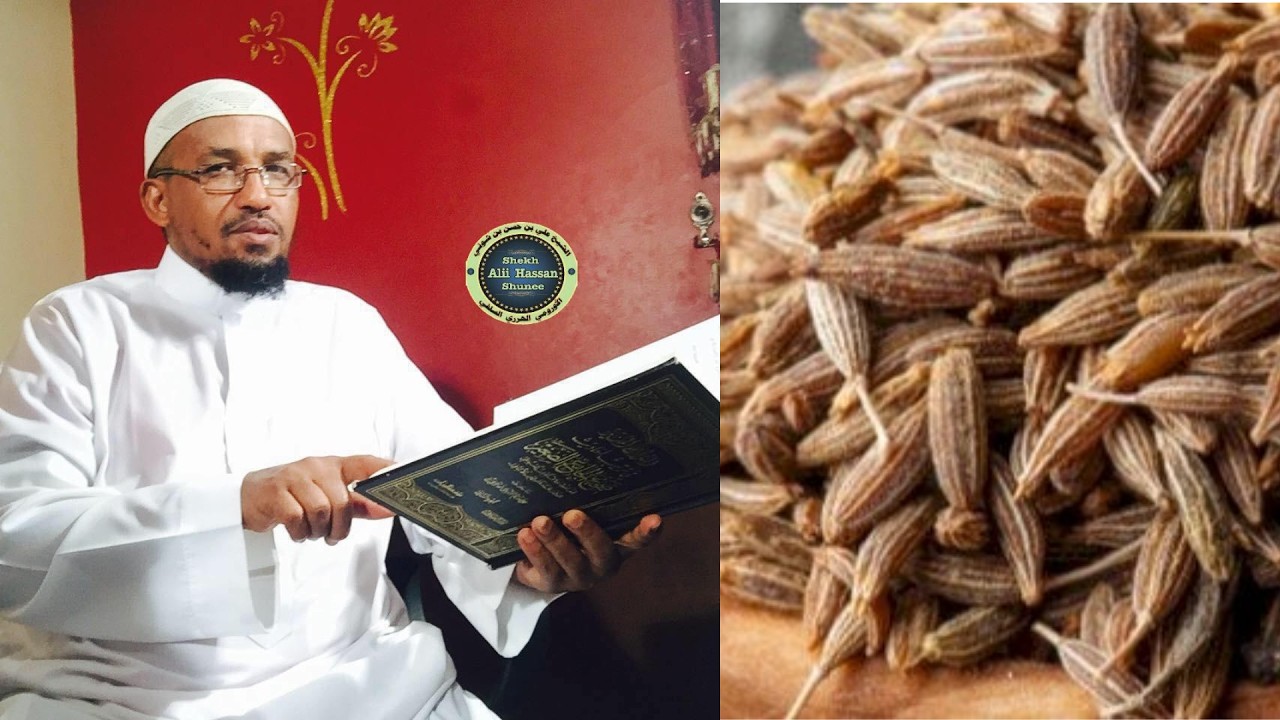 BARNOOTA FAYYAA KUTAA 76 ffaa Carvi Carum   Caraway