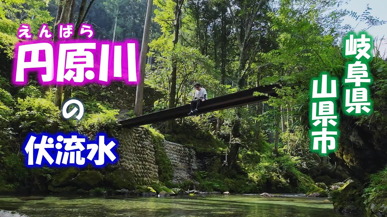 【円原川】岐阜県山県市