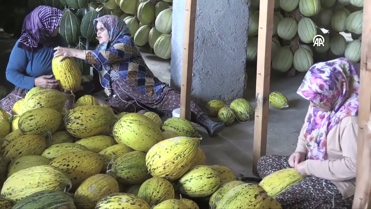 Kırkağaç kavunu 