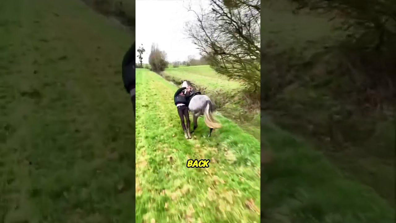 This Horse Ride Deserves an Action Movie 🐎🔥(@nathansusset)