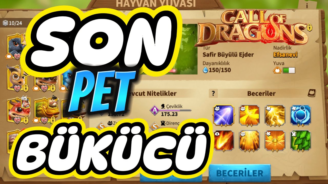 PET DETAYLI BİLGİ*CALL OF DRAGONS