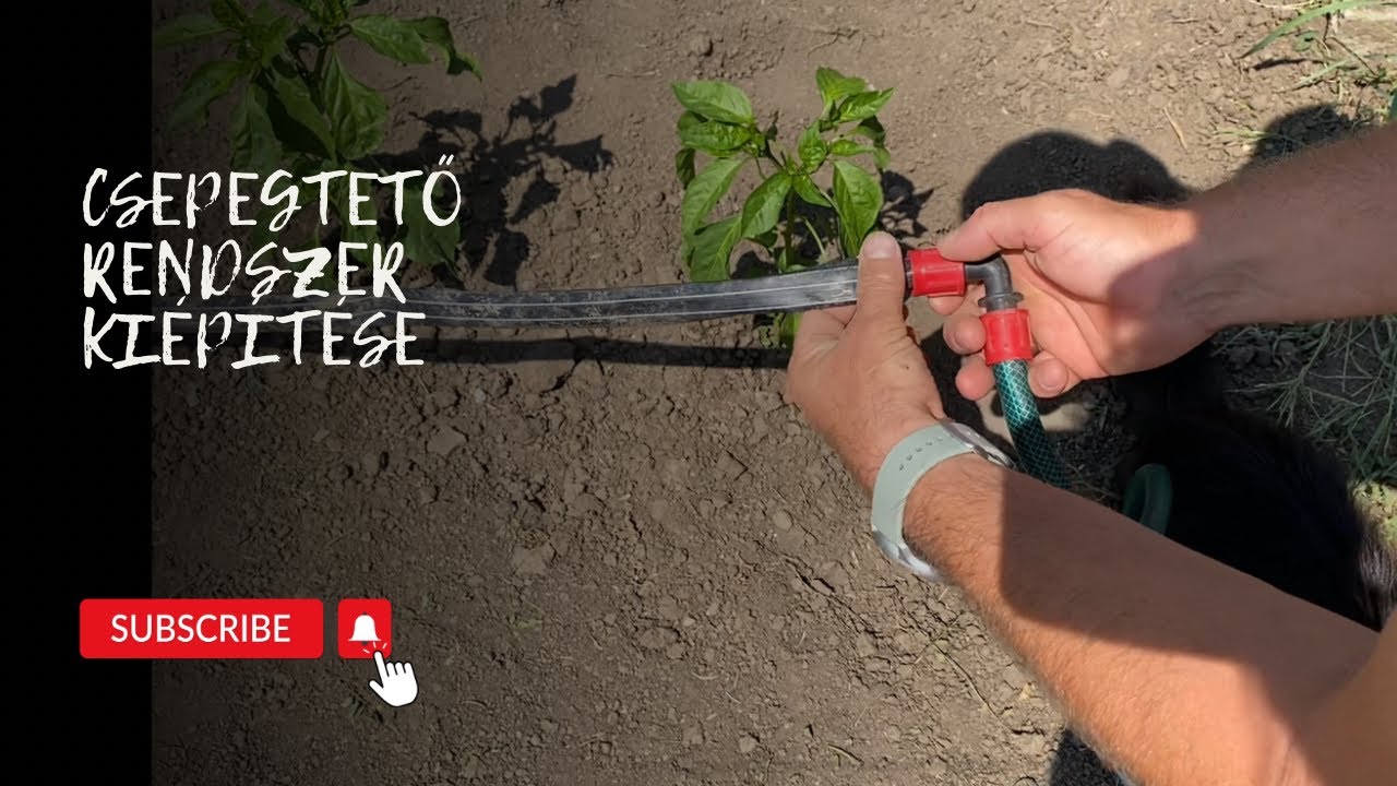 Csepegtető rendszer kiépítése