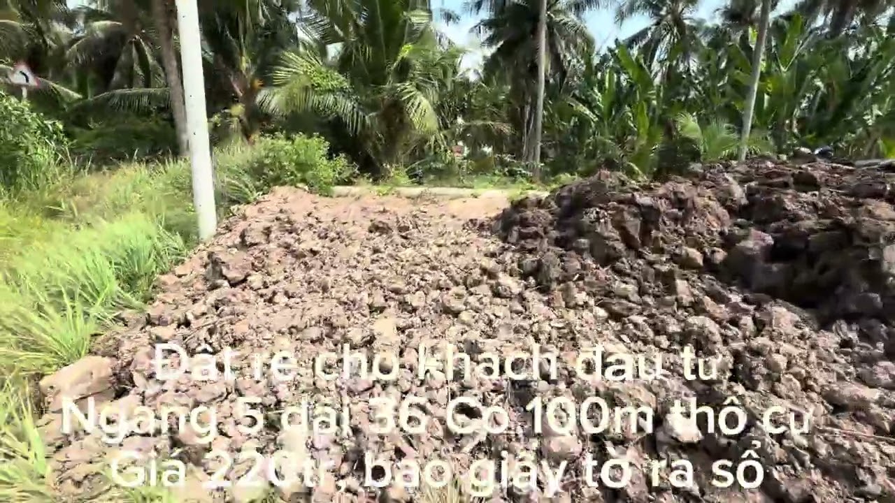 ngày 5 tháng 3, 2026