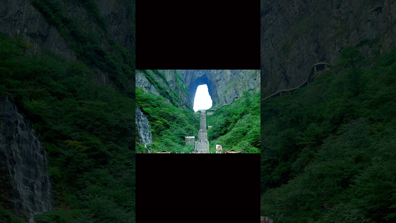 Natural Wonders & Mysteries: Butterfly Millions, Glowing Shores & The Spaceman Photo #facts #shorts