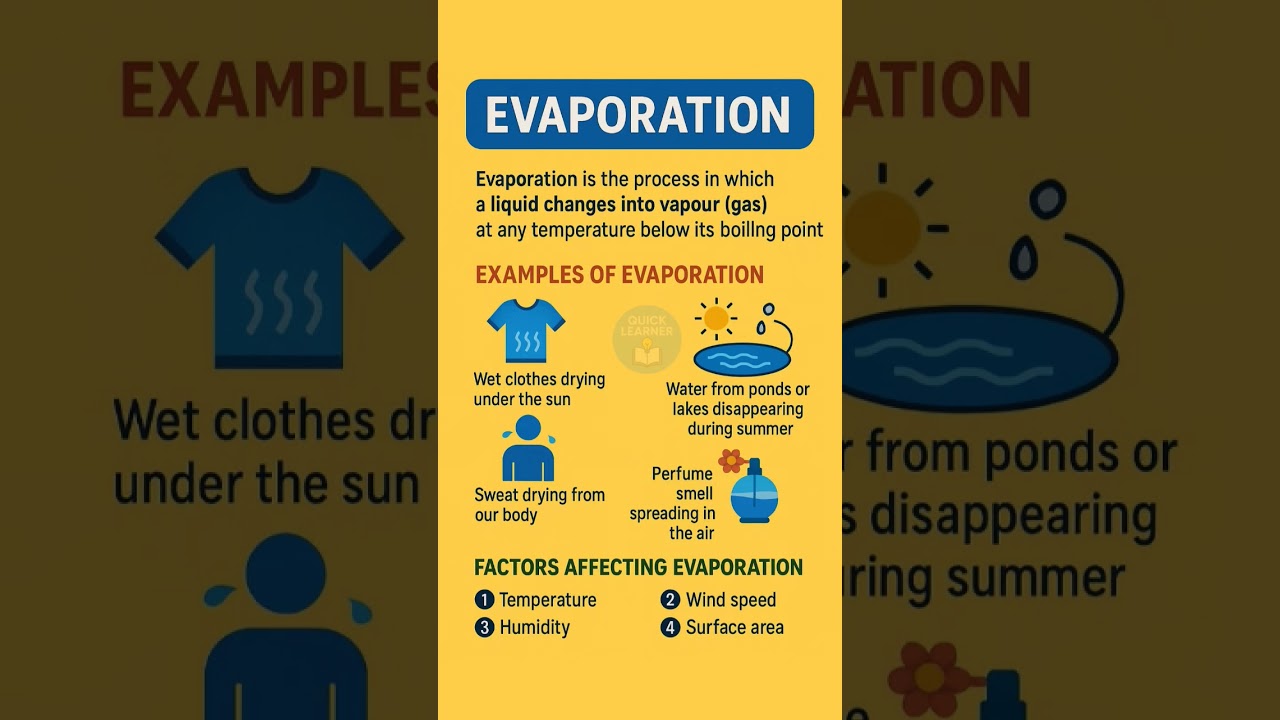 Why Wet Clothes Dry in the Sun ☀️| Evaporation Explained in 30 Seconds| Science Shorts #QuickLearner