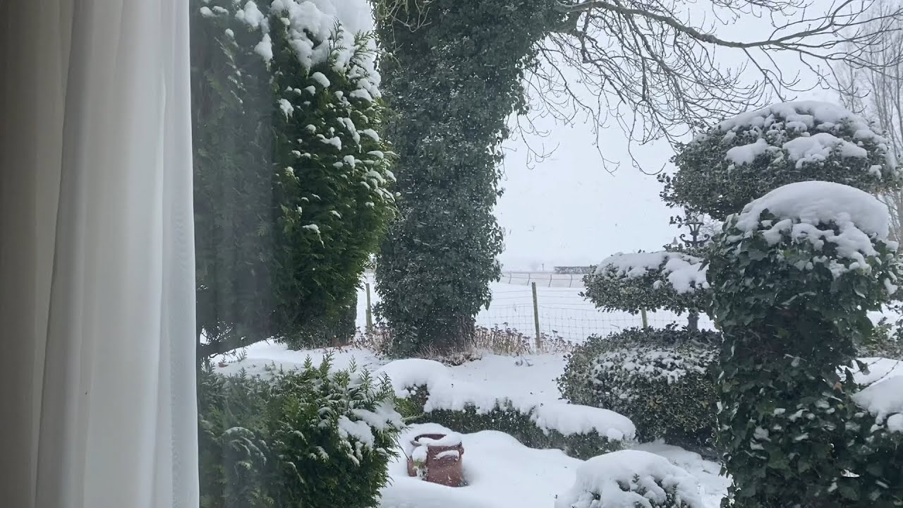 Returning to the Netherlands!