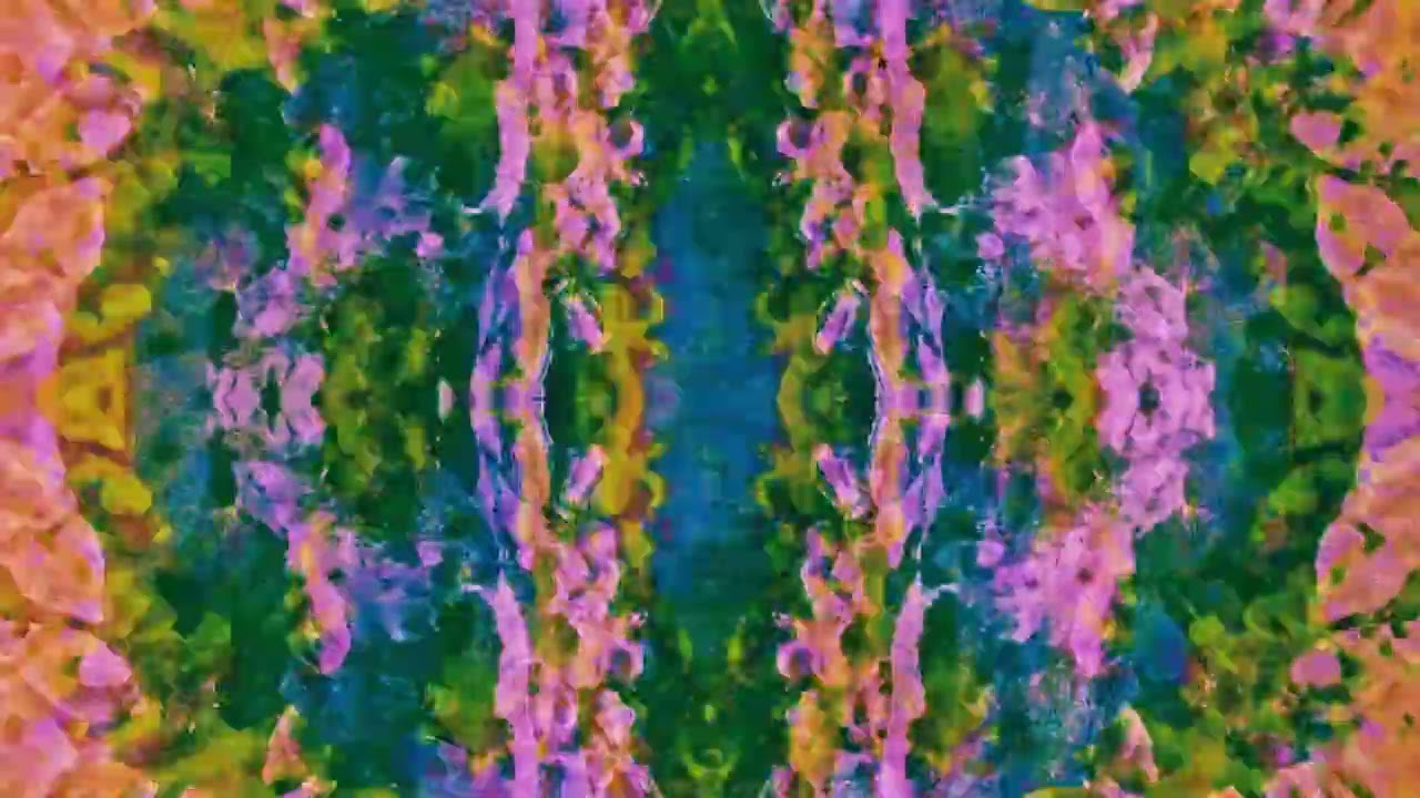 The Same Sky - What's Left (visualizer)