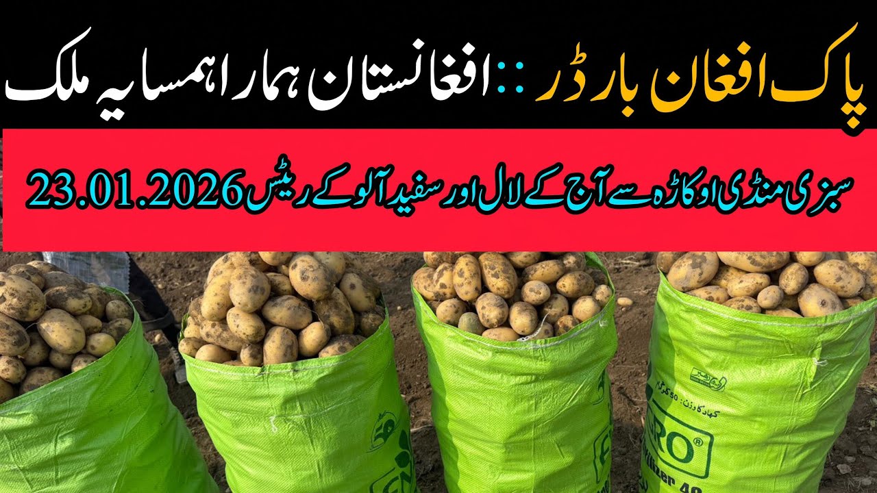 Latest Status of Pak-Afghan Border Vegetable Market Okara Red Potato White Today's Rates 22.01.2026