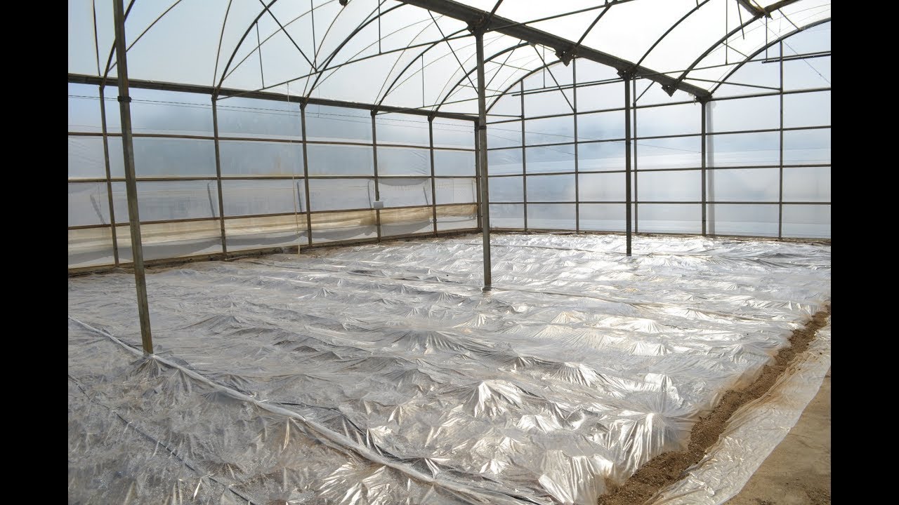 (Bio)Solarisering – Praktisk Information