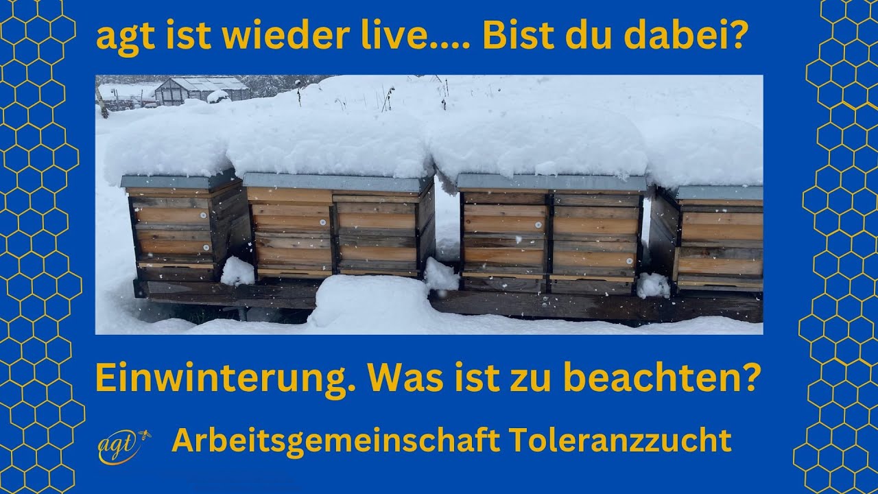 Einwinterung - agt - Varroaresistenz  - Livestream