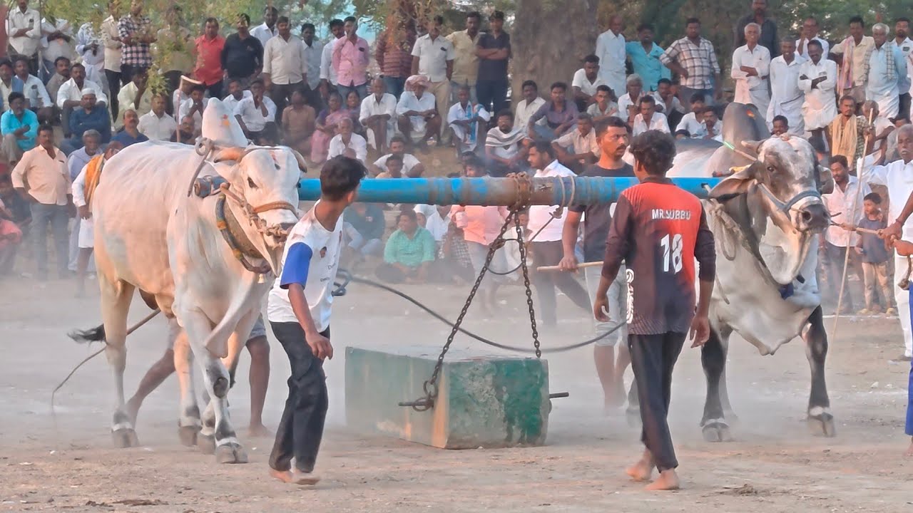 2026-తలారిచెరువు.సీనియర్స్.6వ జత.K.రామ సుబ్బారెడ్డి గారు సోమలదొడ్డి గ్రామం అనంతపురం జిల్లా