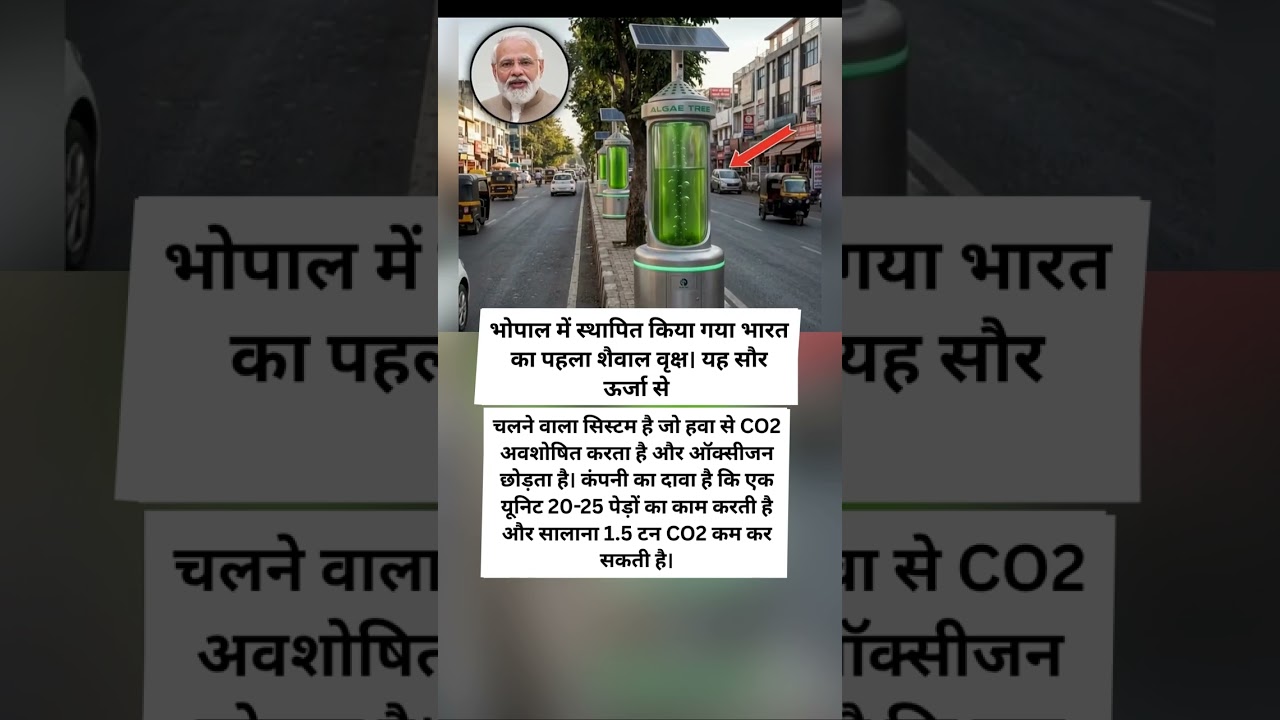 हवा से CO2 सोखकर ऑक्सीजन छोड़ता है शैवाल वृक्ष | Made in India Green Technology #bhopal #viral #news