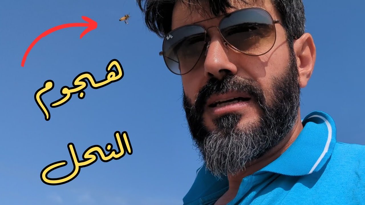 ليش النحل هجم علي ولسعات كثيرة ؟