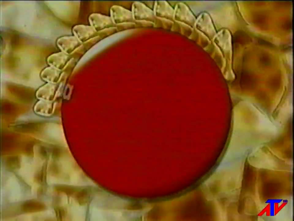comercial coca-cola  SIEMPRE SEPTIEMBRE CHILE