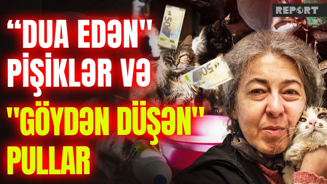 100 pişik və bir qadın - İçərişəhərdə mistik məkandan qeyri-adi GÖRÜNTÜLƏR