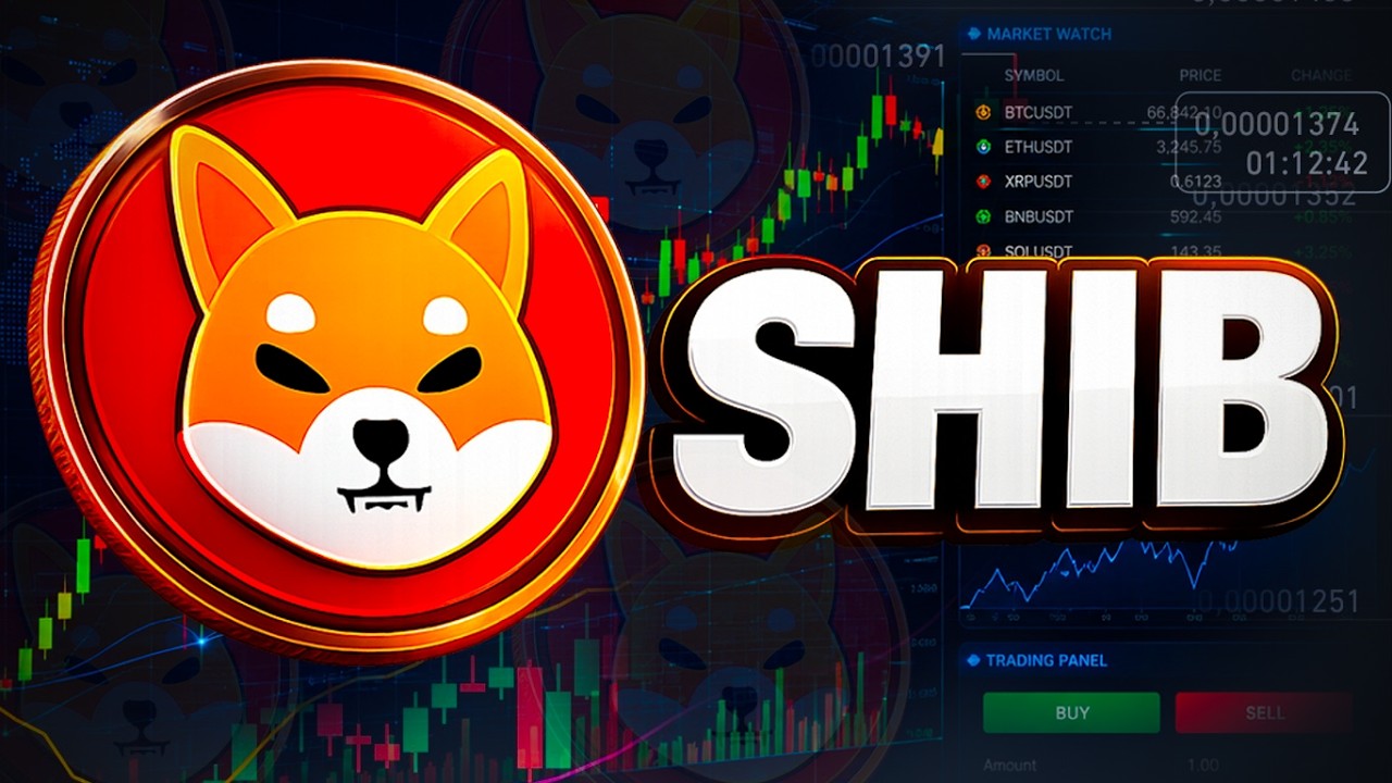 SHIBA INU откатывается, но макропоказатели настроены по-бычьи